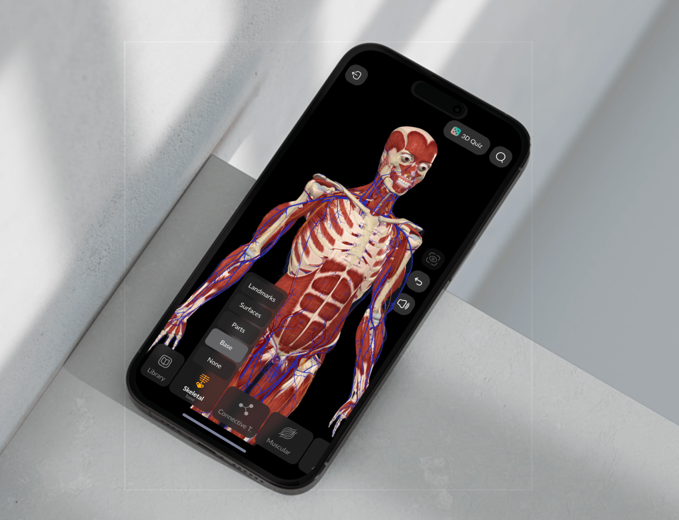 Easy Anatomy 3D atlas interaction
