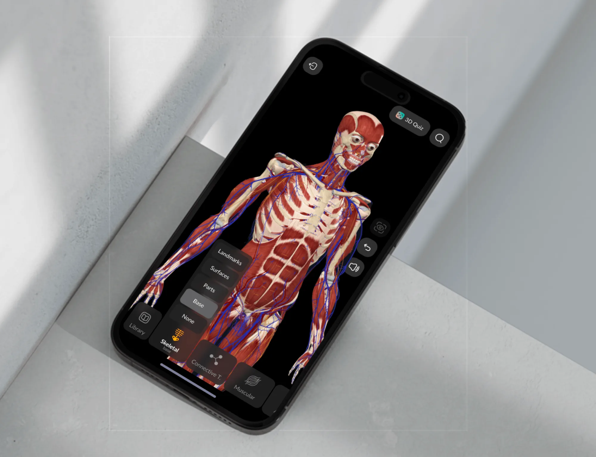Easy Anatomy