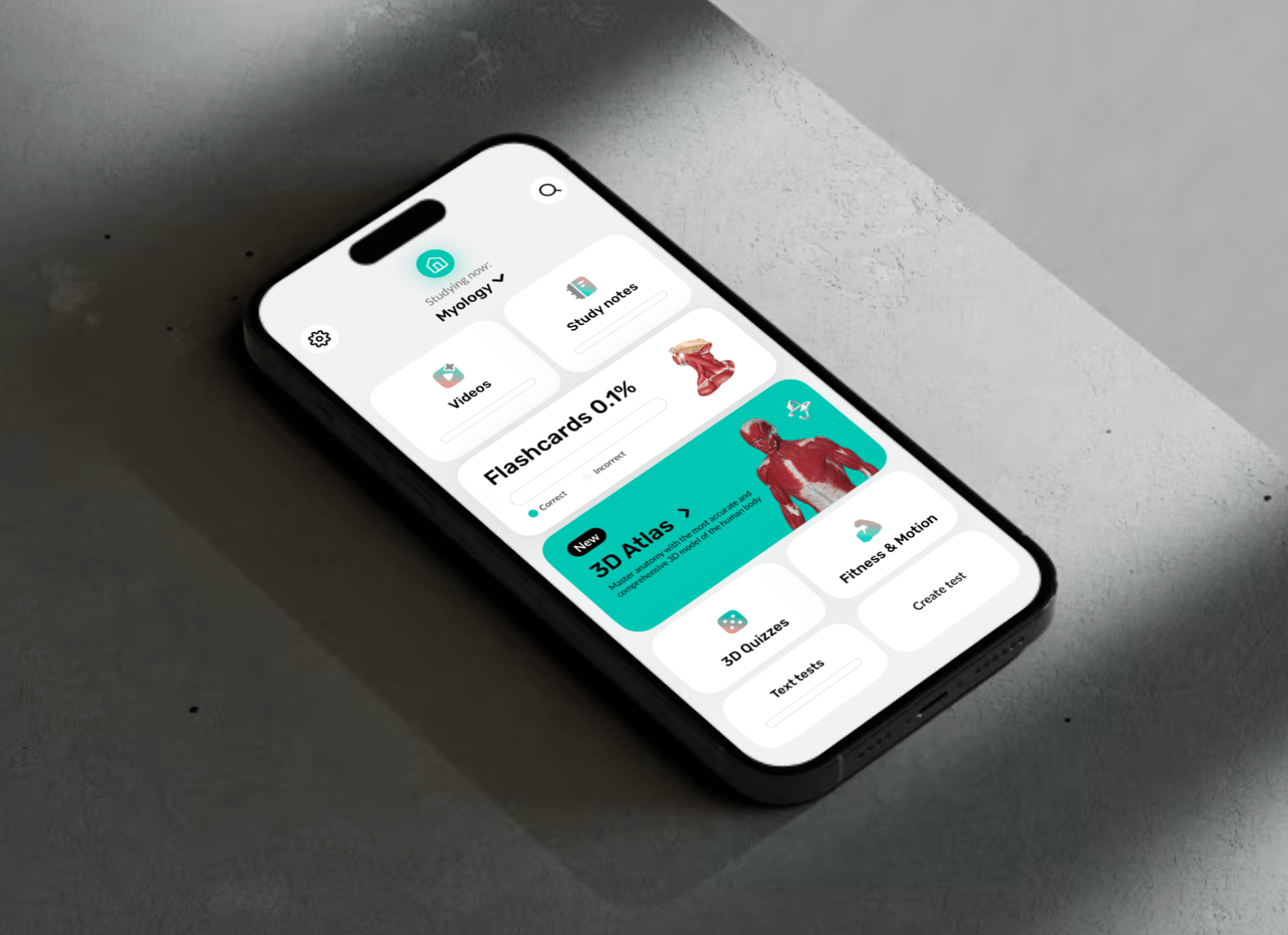 Easy Anatomy home and study surface