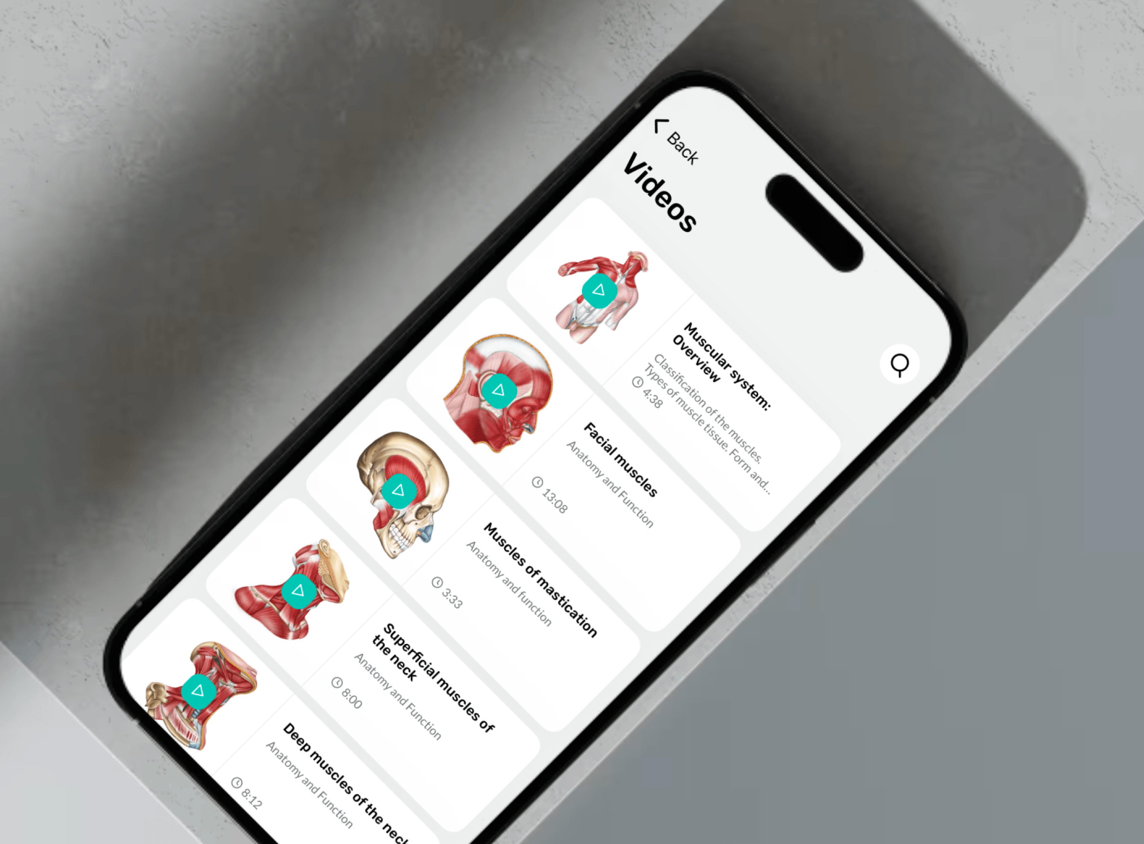 Easy Anatomy 3D quizzes