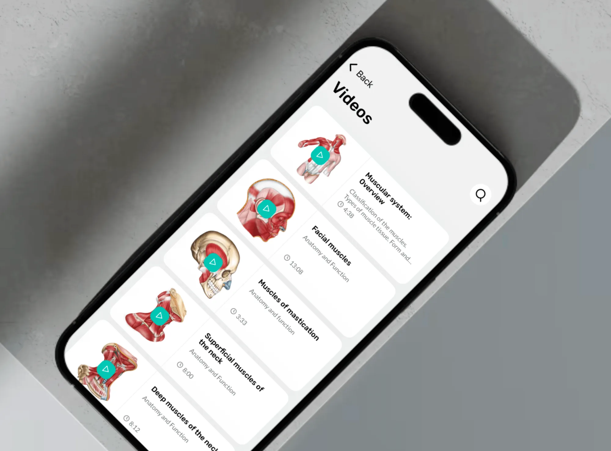 Easy Anatomy 3D quizzes
