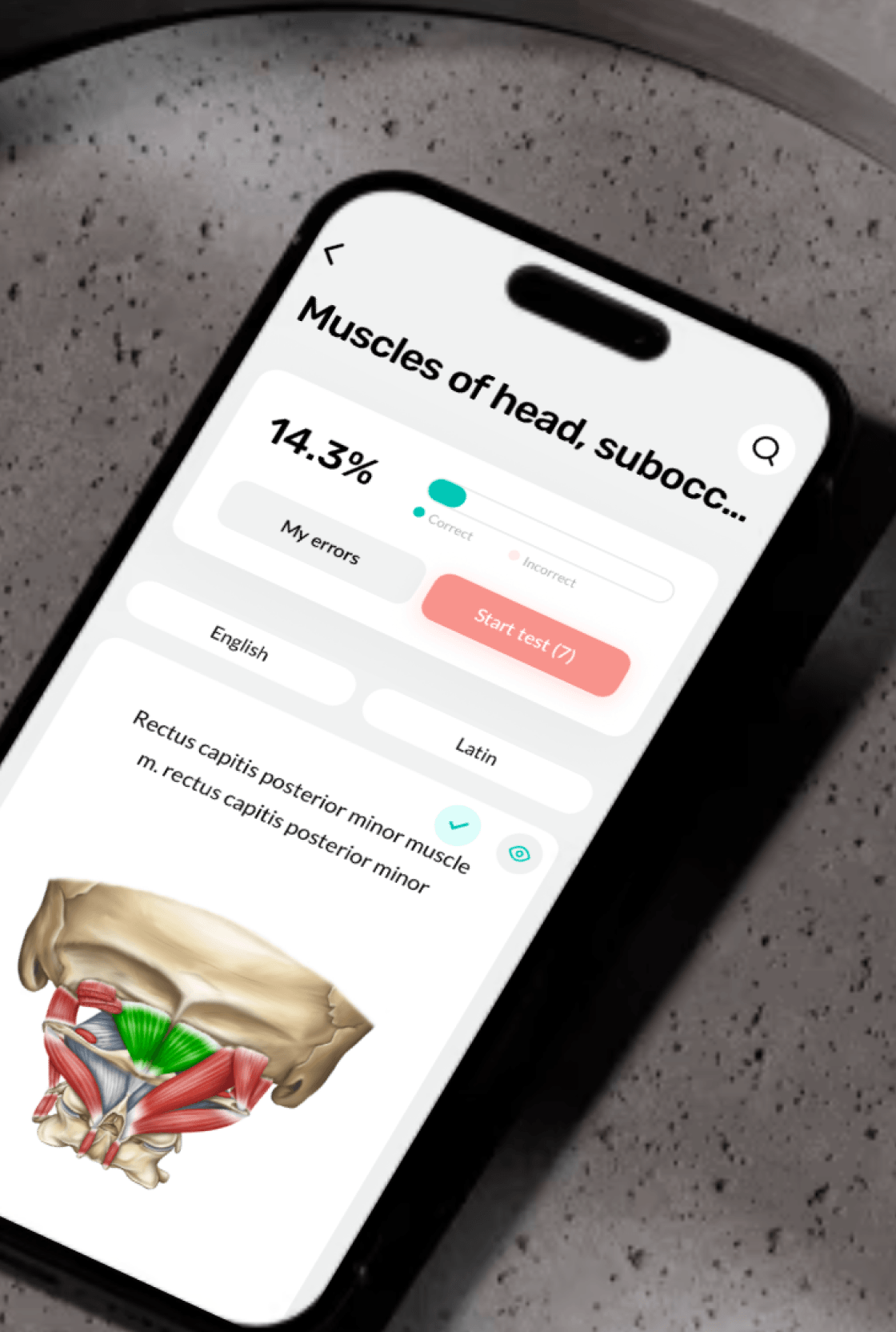 Easy Anatomy video library